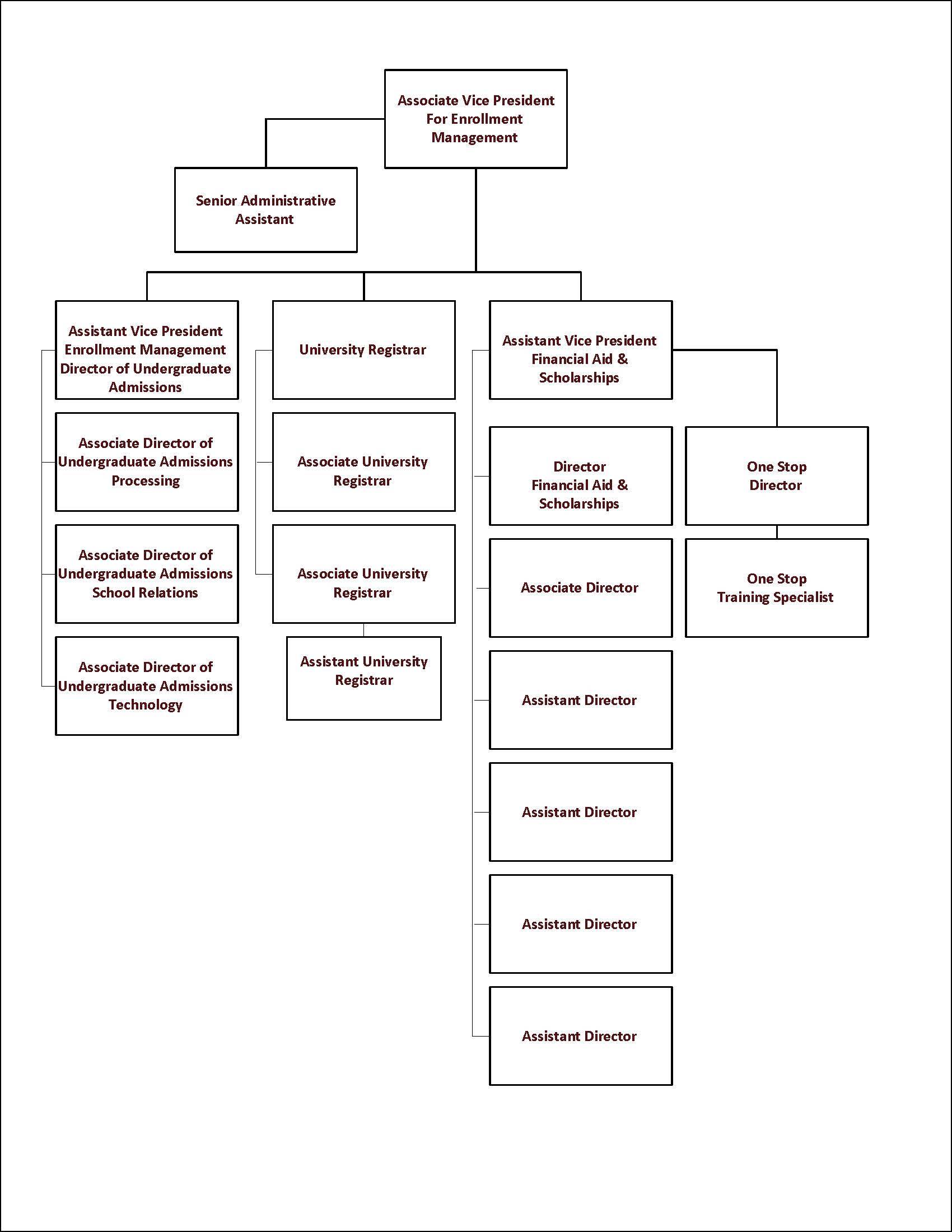 Organizational Chart Enrollment Management Texas State University